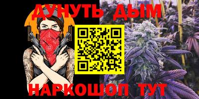 мдпв Дубна