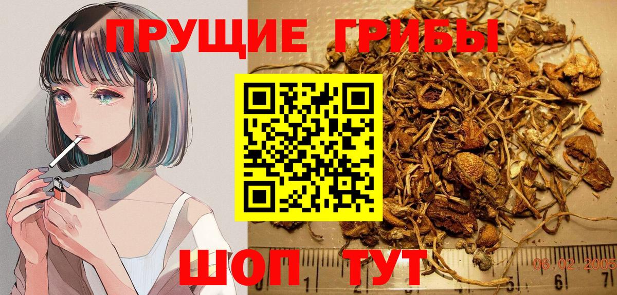 Галлюциногенные грибы мухоморы  Вход с VPN  Медногорск  Псилоцибиновые грибы GOLDEN TEACHER 